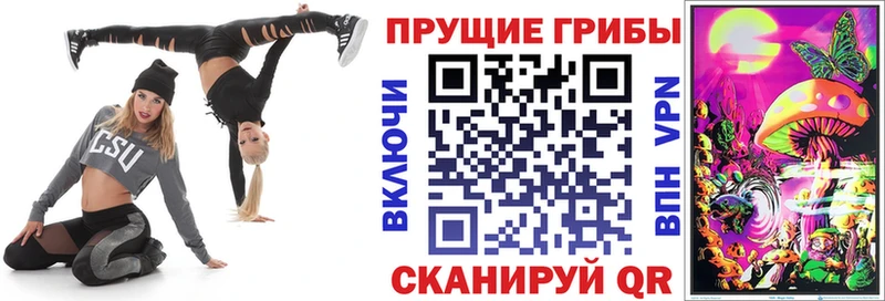 купить цена Сунжа Галлюциногенные грибы мицелий